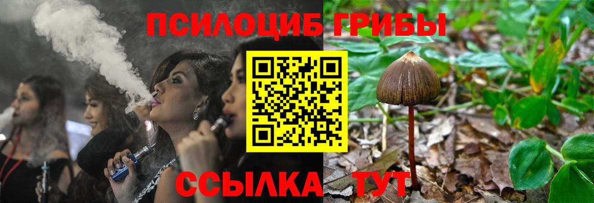 Псилоцибиновые грибы Psilocybine cubensis  Вход с VPN  Псилоцибиновые грибы ЛСД  Топки 